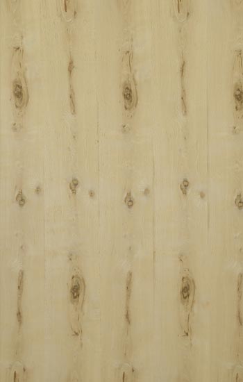Antique Oak