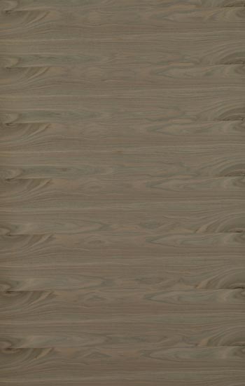 European Walnut Shorts hz