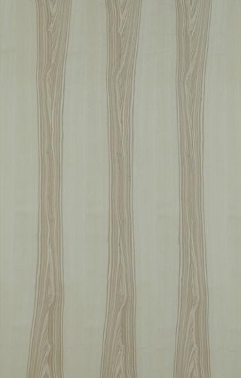 Olive Ash