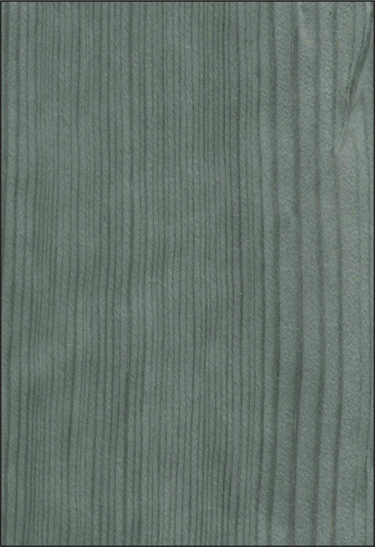 Dyed larch q/c