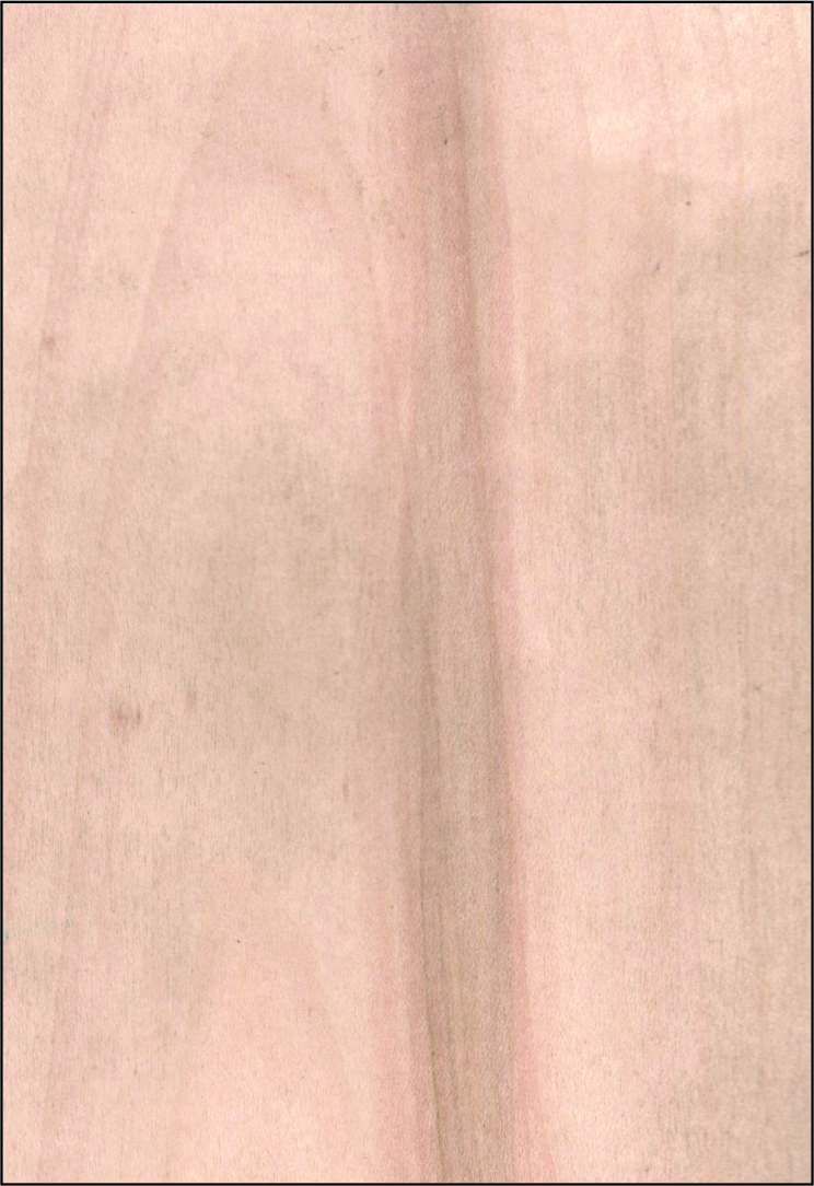 Fig hearted sycamore
